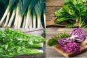 4 loại rau củ tốt cho sinh lý nam, giúp phái mạnh sung mãn tự nhiên