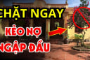 4 loại cây tưởng lành hoá dữ, chặt sớm kẻo rước họa về nhà