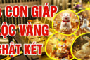Cóc Vàng Nhả Lộc 49 ngày tới, 4 con giáp có vận số đỏ rực, làm gì cũng ra tiền