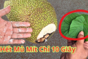 Bổ mít cứ lấy sẵn thứ này ngoài vườn, chẳng phải lo dính nhựa