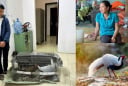 Không biết nuôi gà lôi trắng là phạm luật: Mức phạt cho bị cáo là gì?