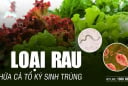 3 loại rau nhiều kí sinh trùng bám nhất, muốn ăn phải làm 1 việc