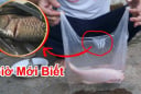 Vì sao người bán thường để cá trong túi bóng đen?
