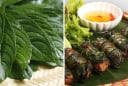 Loại lá cuốn chả thơm ngon gấp 3 lần lá lốt, bổ từ trong ra ngoài