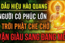 3 tháng sinh có duyên cửa Phật, sống thiện lương cả đời được nâng đỡ