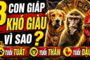 3 con giáp nặng gánh Tiền Tài, 1 tuổi ung dung Lộc tự đến
