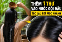Thêm 1 thứ vào nước gội đầu, tóc lâu bết, mọc nhanh