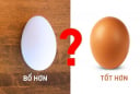 Trứng gà và trứng vịt loại nào bổ hơn?