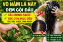 Vò nắm lá này đem gội đầu, gàu bong sạch, tóc con mọc đều