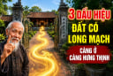 3 dấu hiệu đất có Long Mạch, càng ở con cháu càng hưng thịnh