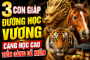 3 con giáp đường Học vượng, càng học cao Tiền càng dễ kiếm
