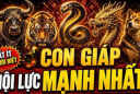 4 con giáp nhìn Liễu Yếu Đào Tơ nhưng nội lực cực mạnh