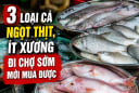 3 loại cá ngọt thịt, ít xương đi chợ sớm mới mua được