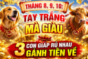 Tháng 8, 9, 10: Tay trắng mà giàu, 3 con giáp rủ nhau gánh Tiền về