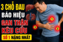 3 chỗ đau báo hiệu gan thận kêu cứu, số 1 nặng nhất