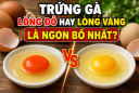 Trứng gà lòng đỏ hay lòng vàng là ngon bổ nhất?