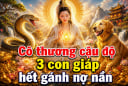 Cô thương Cậu Độ, 3 con giáp hết gánh nợ nần, Tiền về ồ ạt