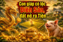 Có Lộc Điền Sản, 4 con giáp đất nở ra Tiền, ở lâu càng vượng
