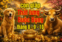 3 con giáp Thắt Lưng Buộc Bụng, cẩn thận mất Tiền tháng 8,9,10