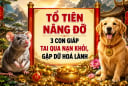 Tổ Tiên Nâng Đỡ, 3 con giáp tai qua nạn khỏi, gặp dữ hoá lành