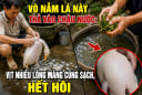 Vò nắm lá này thả vào chậu nước: Vịt nhiều lông măng cũng sạch, hết hôi