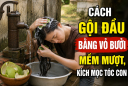Cách gội đầu bằng vỏ bưởi mềm mượt, kích mọc tóc con