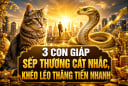 3 con giáp sếp thương cất nhắc, khéo léo thăng tiến nhanh