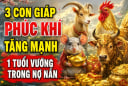 3 con giáp Phúc Khí tăng mạnh, 1 tuổi vướng trong nợ nần