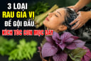 3 loại rau gia vị để gội đầu, kích tóc con mọc dày