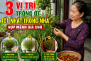 3 vị trí trồng ớt tốt nhất trong nhà, hợp mệnh gia chủ