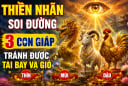 Thiên Nhãn soi đường, 3 con giáp tránh được tai bay vạ gió