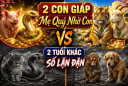 2 con giáp Mẹ Quý Nhờ Con, 2 tuổi khác số lận đận