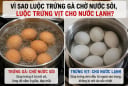 Vì sao luộc trứng gà chờ nước sôi, luộc trứng vịt cho nước lạnh?