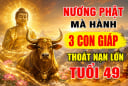 Nương Phật mà hành, 3 con giáp thoát nạn lớn tuổi 49