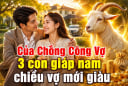 Của Chồng Công Vợ, 3 con giáp nam chiều vợ mới giàu