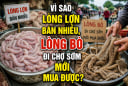 Vì sao lòng lợn bán nhiều, lòng bò đi chợ sớm mới mua được?