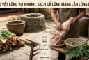 Mẹo vặt lông vịt nhanh, sạch cả lông măng lẫn lông ống