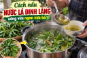 Cách nấu nước lá đinh lăng uống vừa ngon vừa bổ