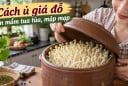 Cách ủ giá đỗ lên mầm tua tủa, mập mạp