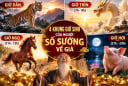 4 khung giờ sinh của người số sướng về già