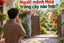 Người mệnh Hoả trồng cây nào hợp?