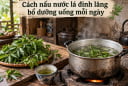 Cách nấu nước lá đinh lăng bổ dưỡng uống mỗi ngày