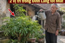 2 vị trí trồng Đinh Lăng tốt nhất