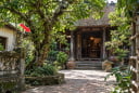 2 tuổi hợp trồng cây Sung trước cửa