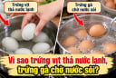 Tại sao luộc trứng vịt thả nước lạnh, luộc trứng gà phải chờ nước sôi?