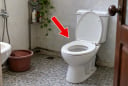 Có nên đậy nắp bồn cầu sau khi đi vệ sinh?
