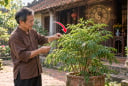 3 vị trí trồng cây Đinh Lăng càng tăng Phúc - Lộc