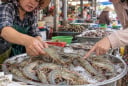Mua tôm chọn con cong hay thẳng là ngon nhất?