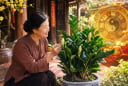 Nhà có loại cây này nở hoa báo Tiền to sắp đổ về