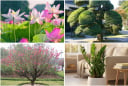 Bốc chọn 1 loài cây bạn ấn tượng nhất